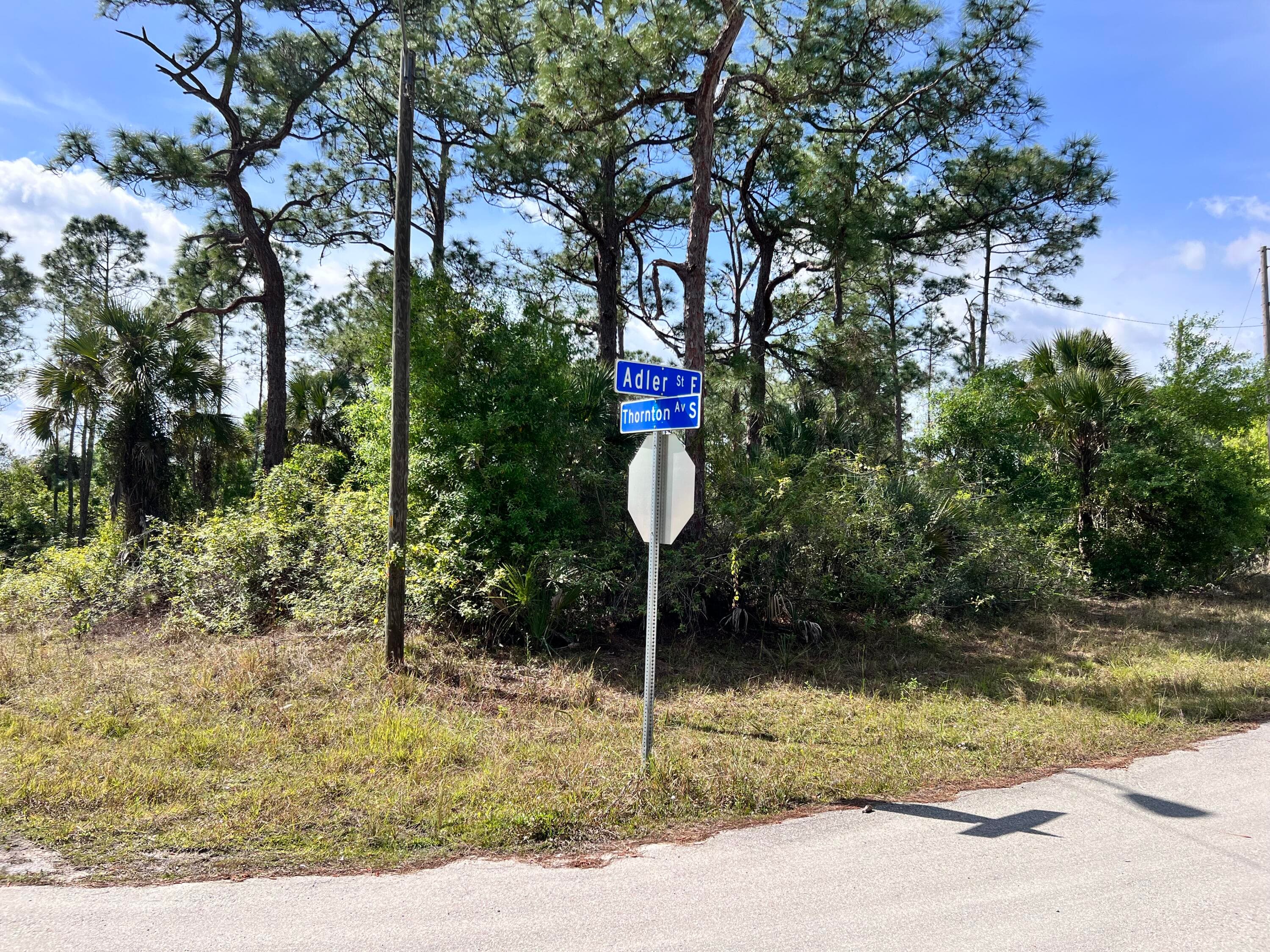 860 Adler Street E, Lehigh Acres, FL 33974 — photo 2 of 5