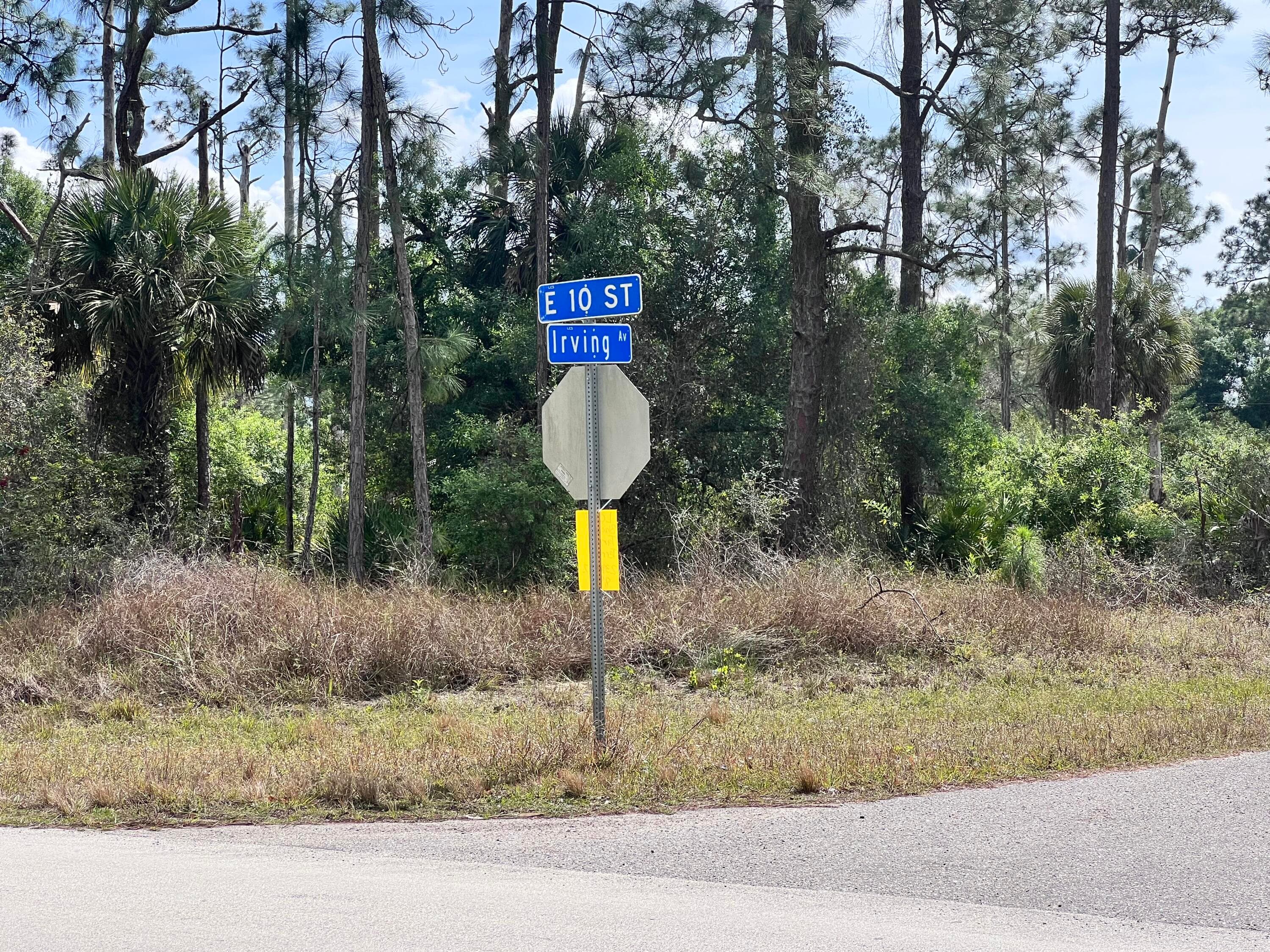 4206 E 10th Street, Lehigh Acres, FL 33972 — photo 3 of 5