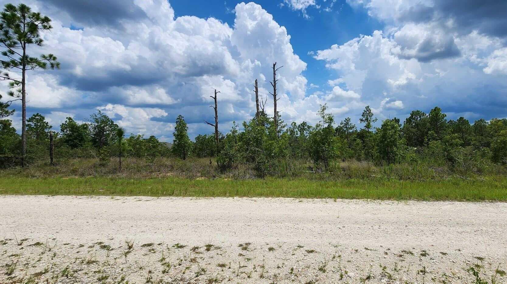 - Scissorbill Avenue, Brooksville, FL 34614 — photo