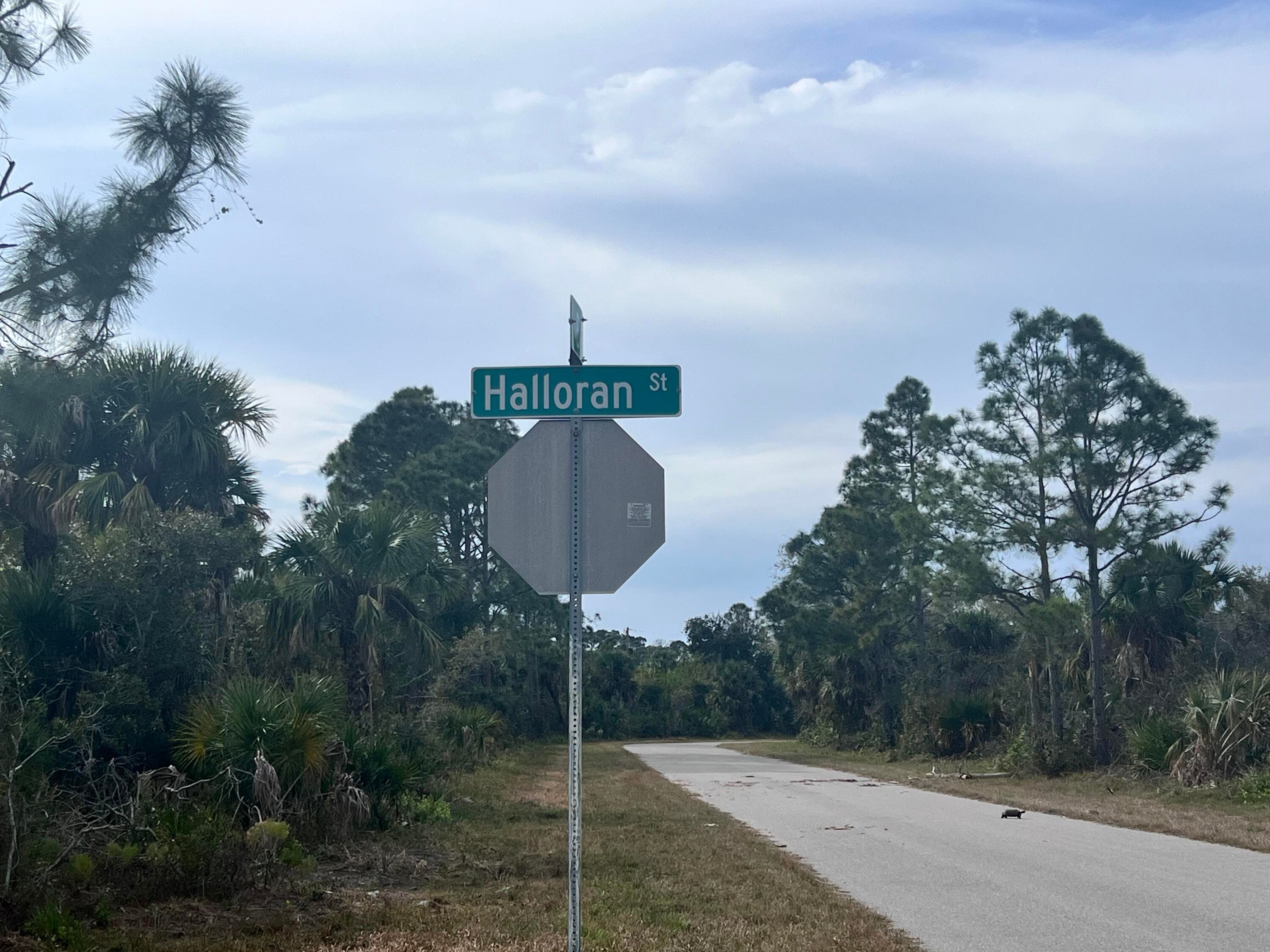 310 Halloran Street, Port Charlotte, FL 33953 — photo 2 of 5