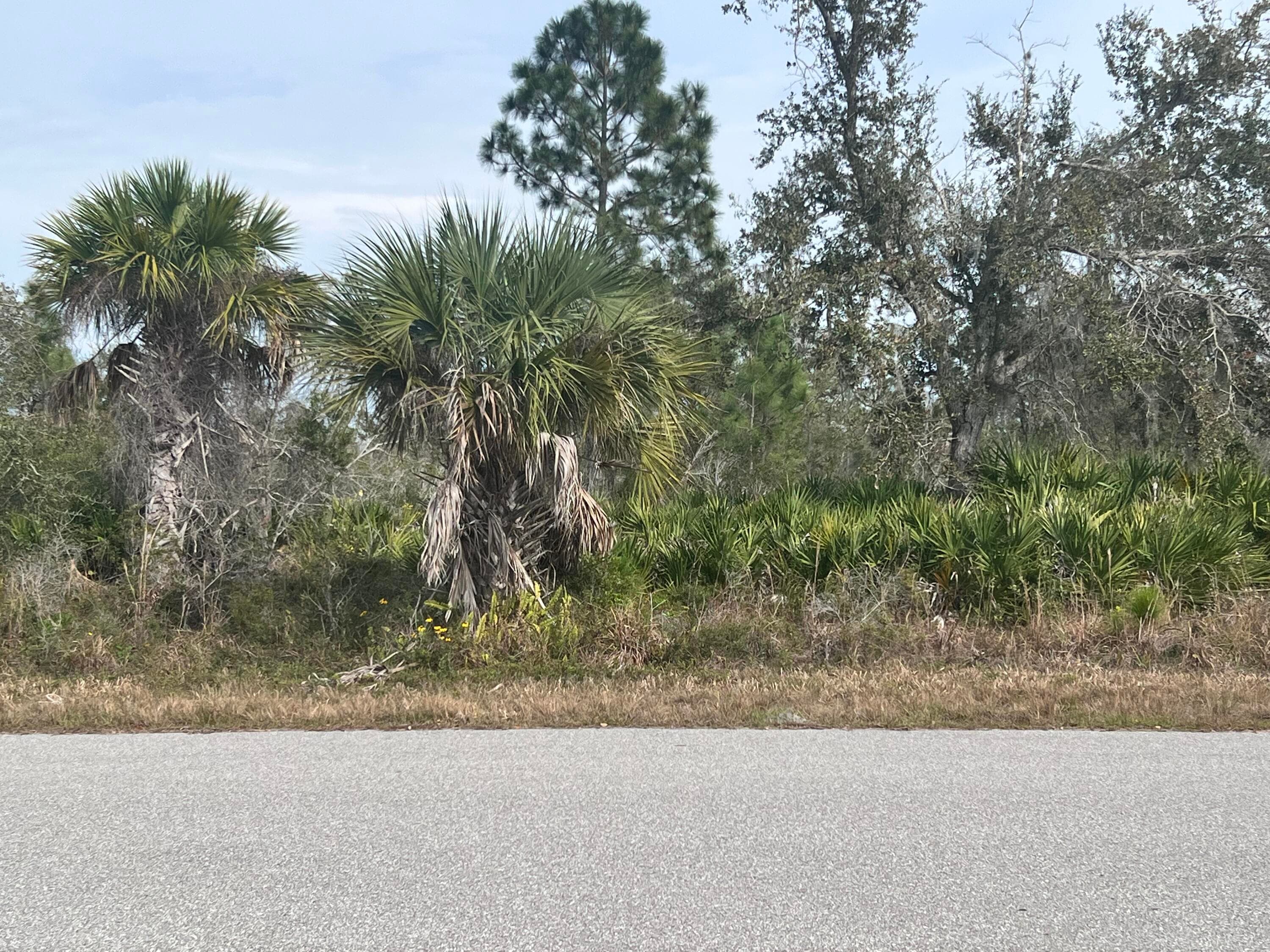 310 Halloran Street, Port Charlotte, FL 33953 — photo 1 of 5