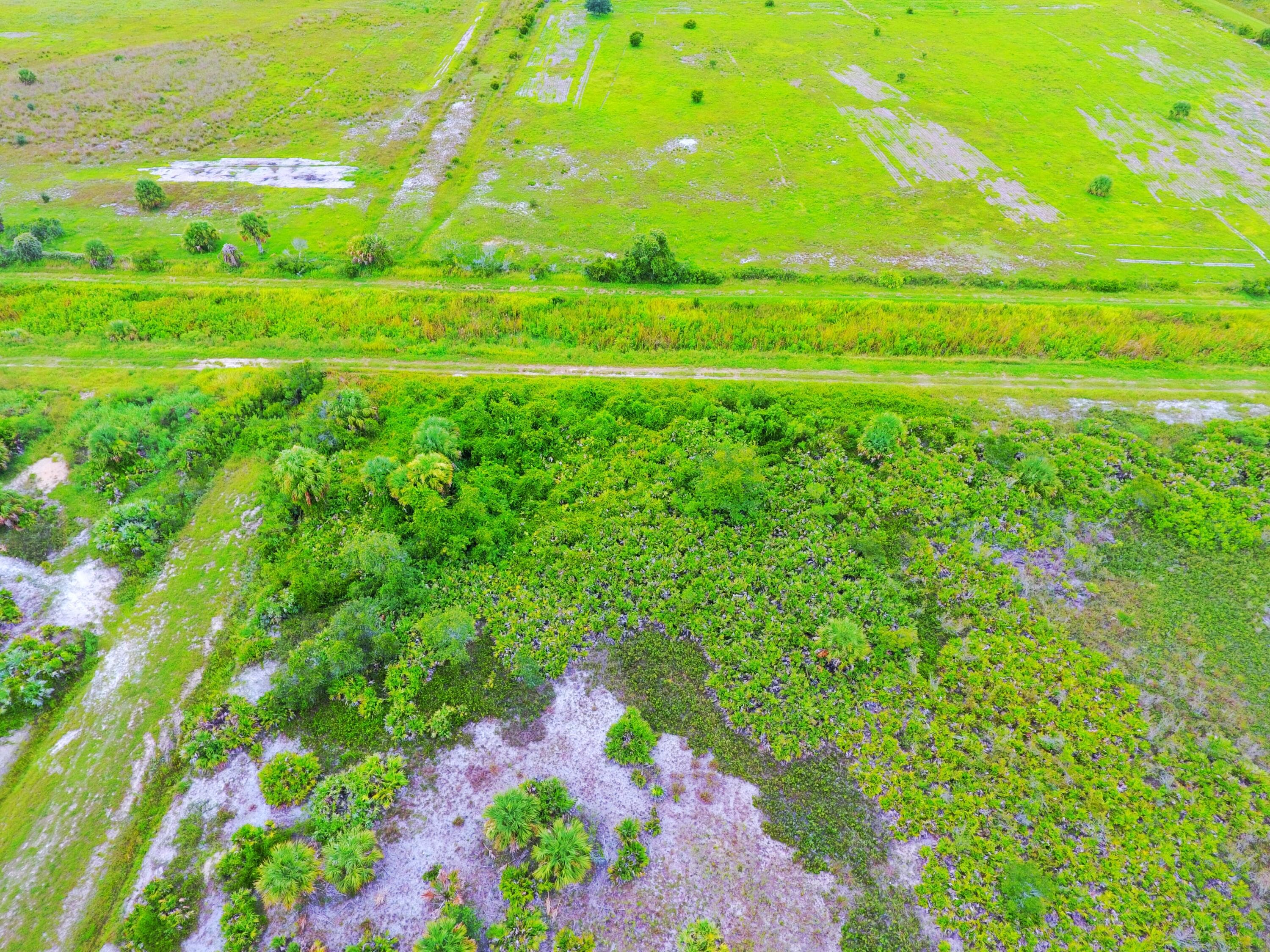 21591 NW 282nd Street, Okeechobee, FL 34972 — photo 3 of 5