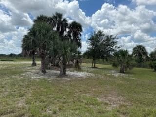 19374 NW 302, Okeechobee, FL 34972 — photo 7 of 46