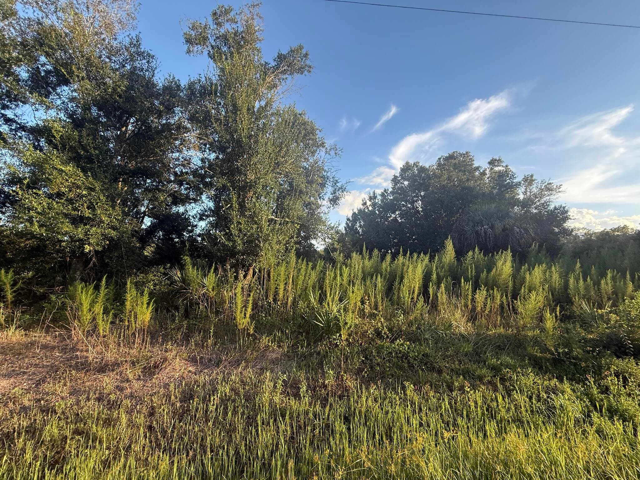 19426 NW 270th Street, Okeechobee, FL 34972 — photo 1 of 14