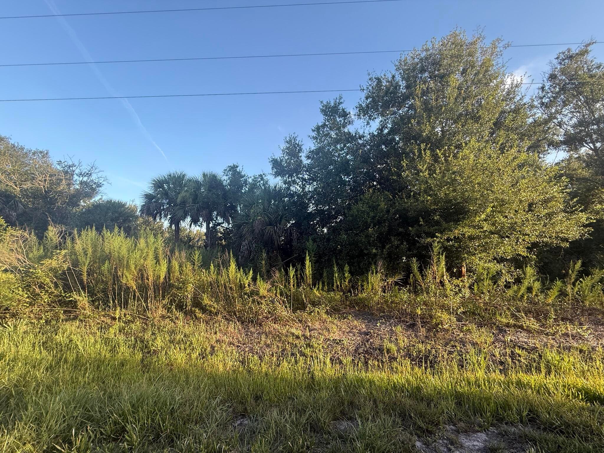19426 NW 270th Street, Okeechobee, FL 34972 — photo 6 of 14