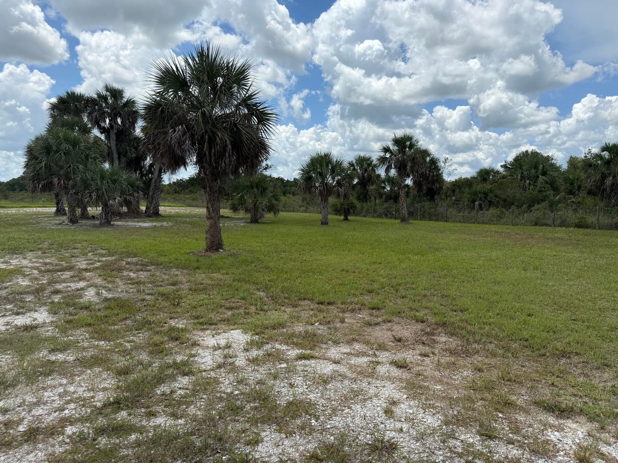 19374 NW 302, Okeechobee, FL 34972 — photo 35 of 46