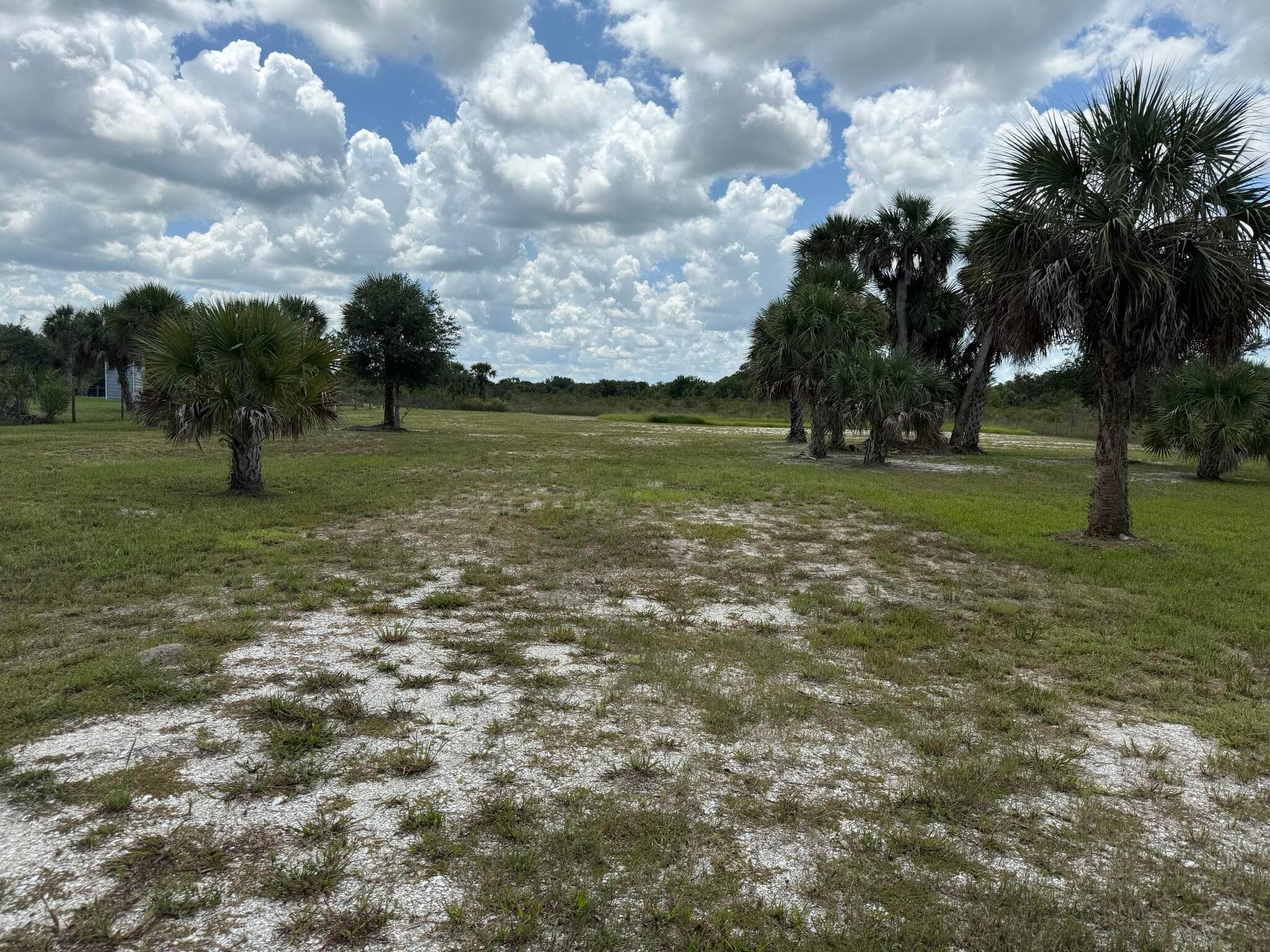 19374 NW 302, Okeechobee, FL 34972 — photo 36 of 46