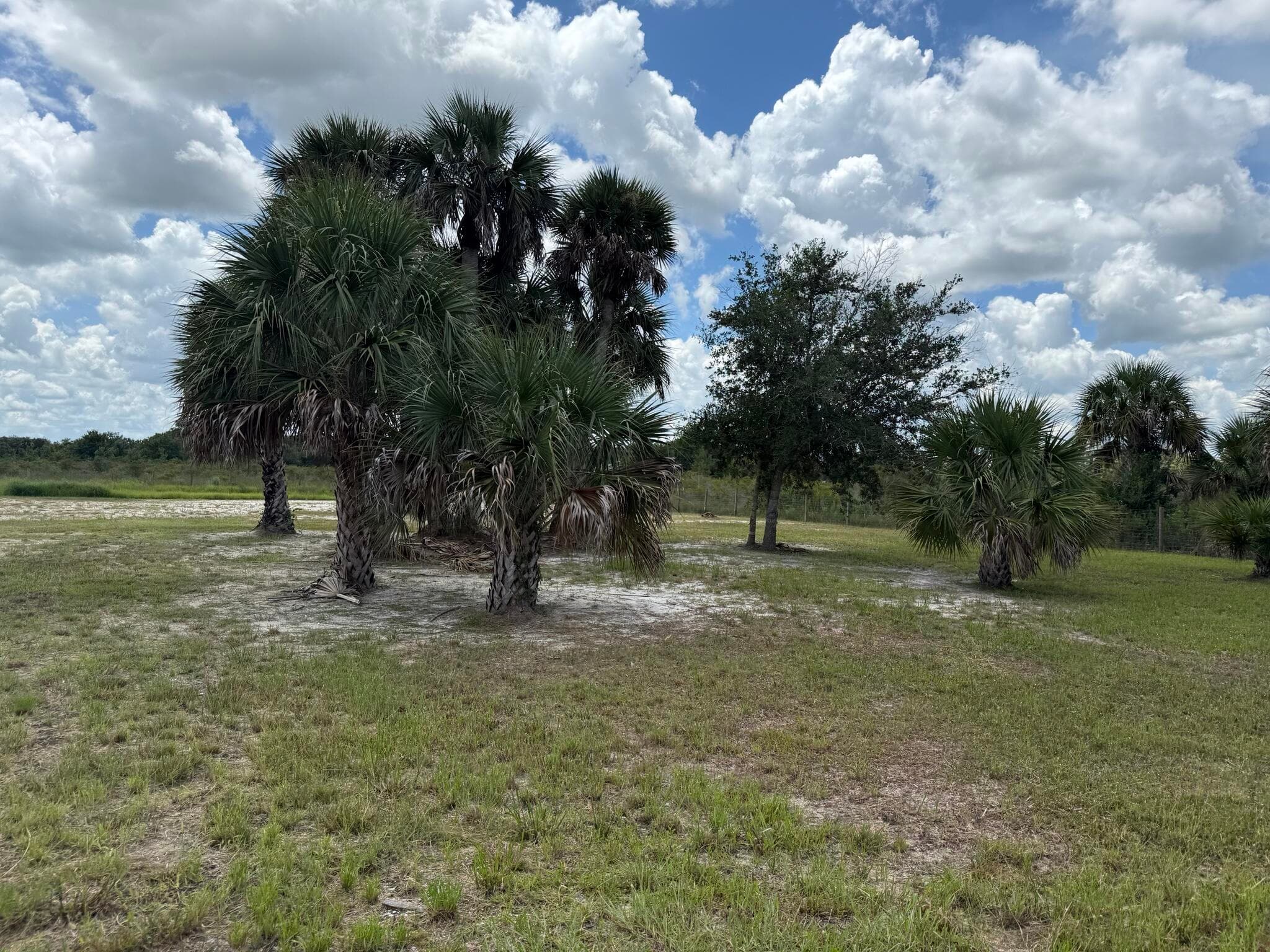 19374 NW 302, Okeechobee, FL 34972 — photo 2 of 46