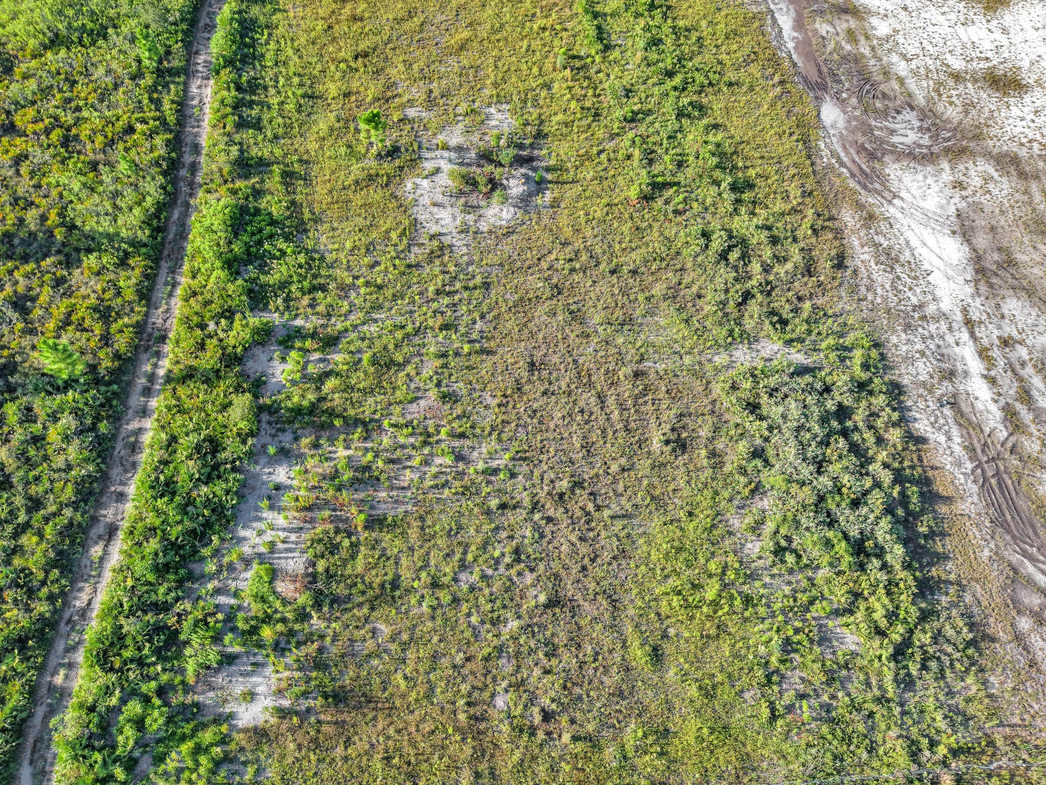 22184 NW 278th Street, Okeechobee, FL 34972 — photo 9 of 20