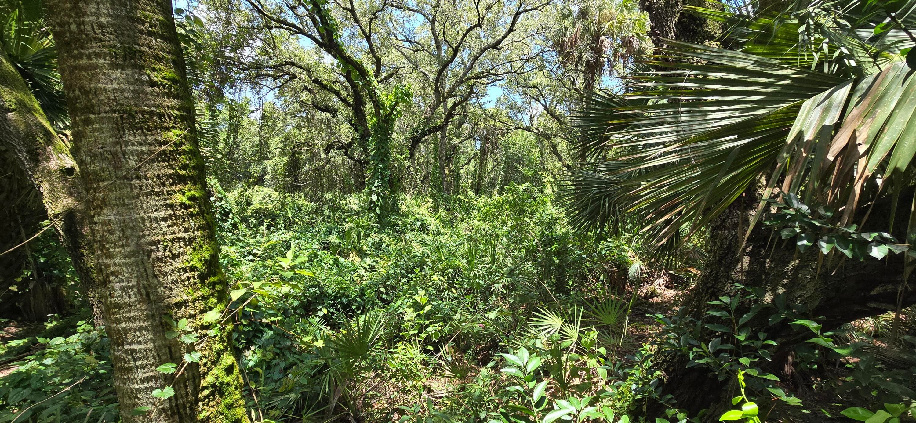 100 NW 38th Avenue, Okeechobee, FL 34972 — photo 32 of 32