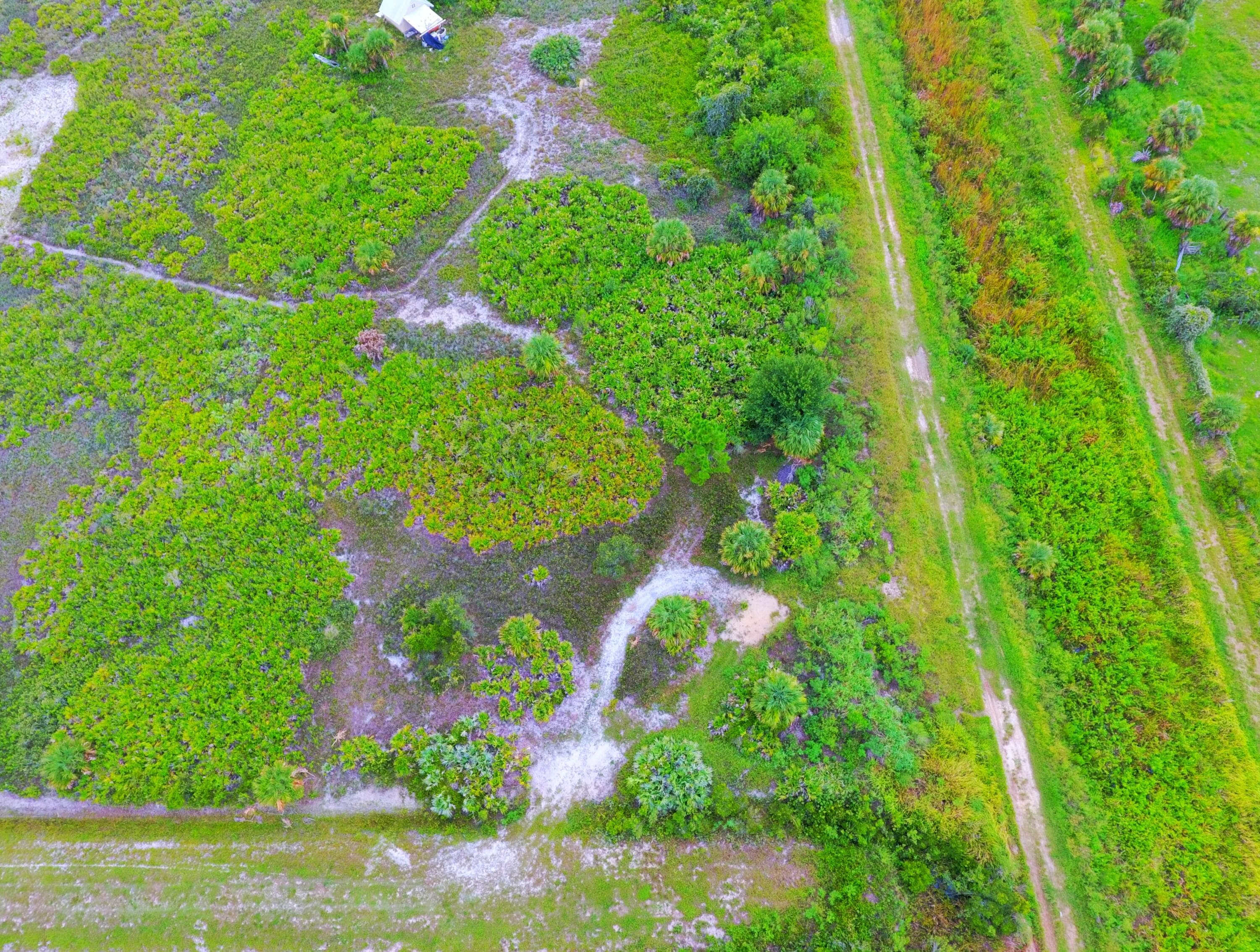 21594 NW 282nd Street, Okeechobee, FL 34972 — photo 6 of 6
