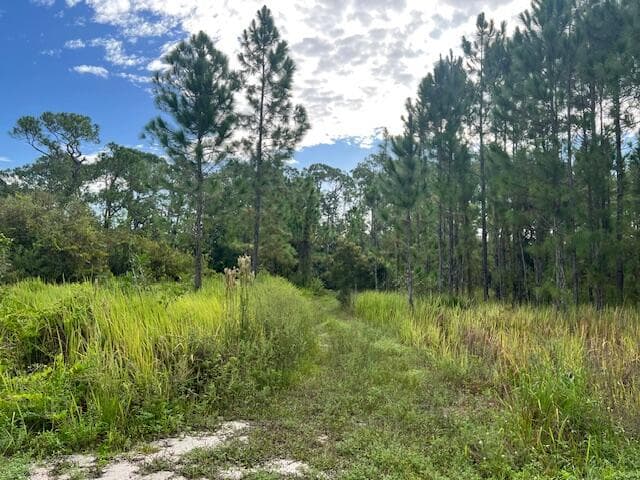 1137 Greenfield Street, Lake Placid, FL 33852 — photo 6 of 22
