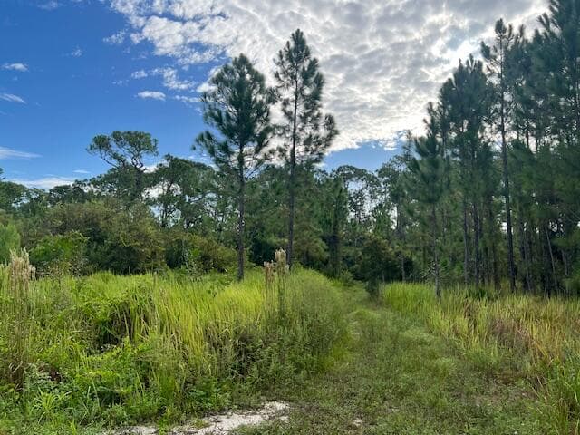 1137 Greenfield Street, Lake Placid, FL 33852 — photo 7 of 22