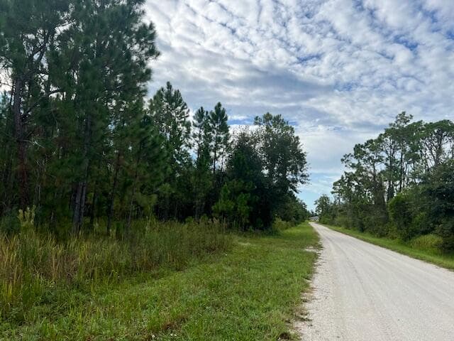 1137 Greenfield Street, Lake Placid, FL 33852 — photo 4 of 22