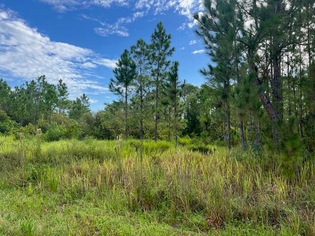 1137 Greenfield Street, Lake Placid, FL 33852 — photo 10 of 22