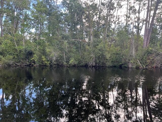 1137 Greenfield Street, Lake Placid, FL 33852 — photo 12 of 22