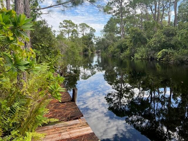 1137 Greenfield Street, Lake Placid, FL 33852 — photo 20 of 22