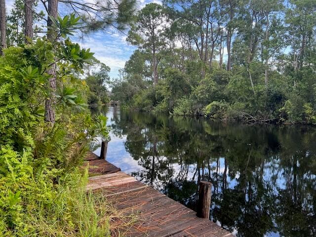 1137 Greenfield Street, Lake Placid, FL 33852 — photo 15 of 22