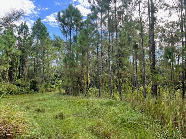 1135 Greenfield Street, Lake Placid, FL 33852 — photo 9 of 17