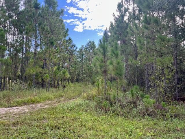 1135 Greenfield Street, Lake Placid, FL 33852 — photo 2 of 17
