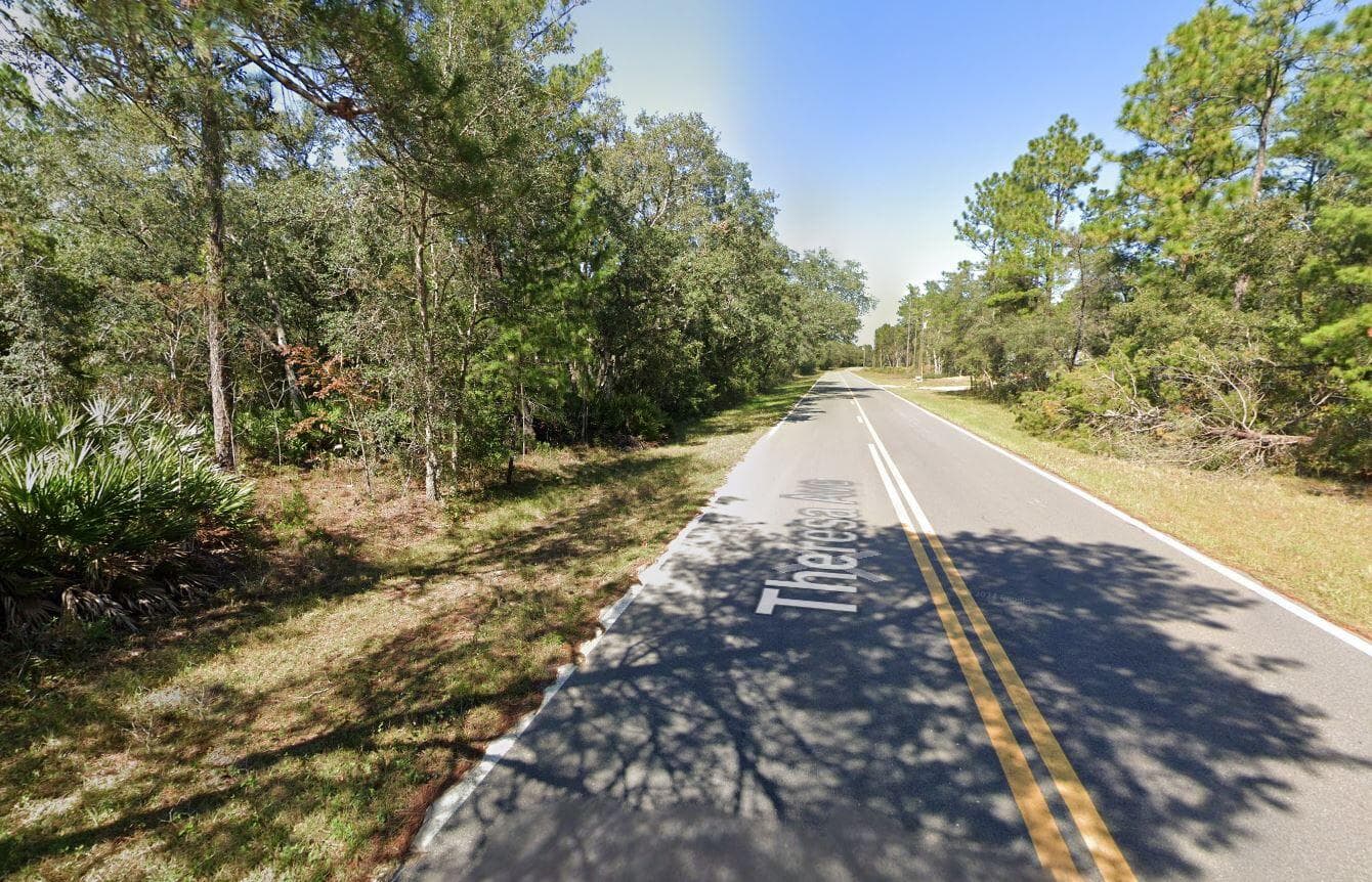 Tbd Theresa Avenue, Interlachen, FL 32148 — photo 8 of 9