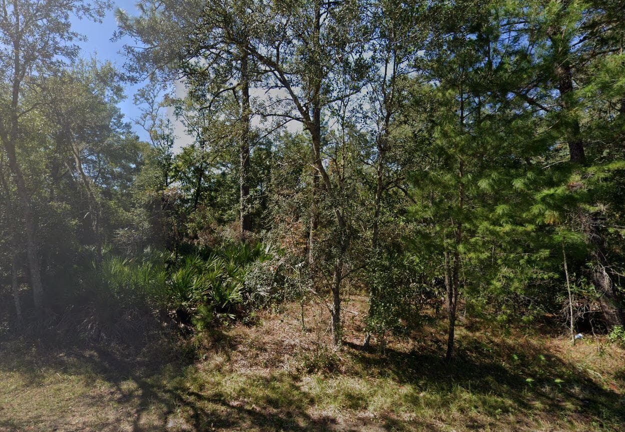 Tbd Theresa Avenue, Interlachen, FL 32148 — photo 7 of 9