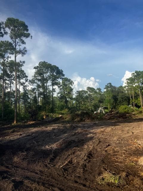 2018 Canton Avenue, Alva, FL 33920 — photo