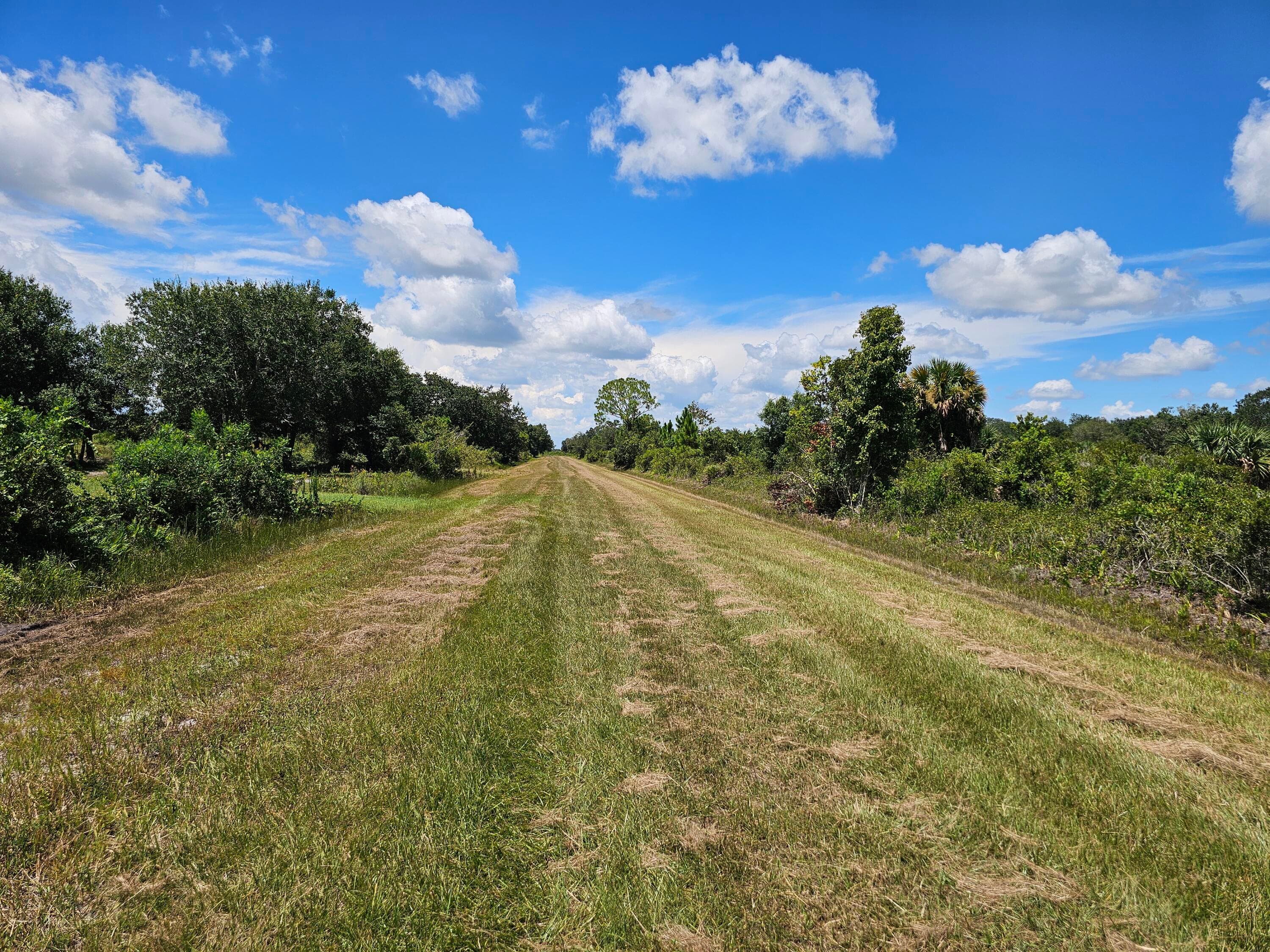 16431 NW 270th Street, Okeechobee, FL 34972 — photo 4 of 7