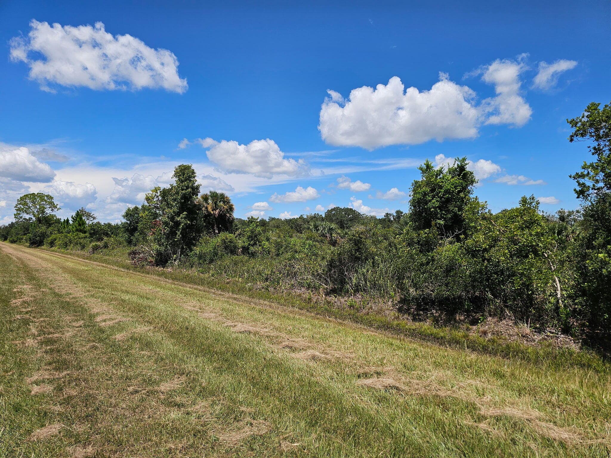 16431 NW 270th Street, Okeechobee, FL 34972 — photo 7 of 7