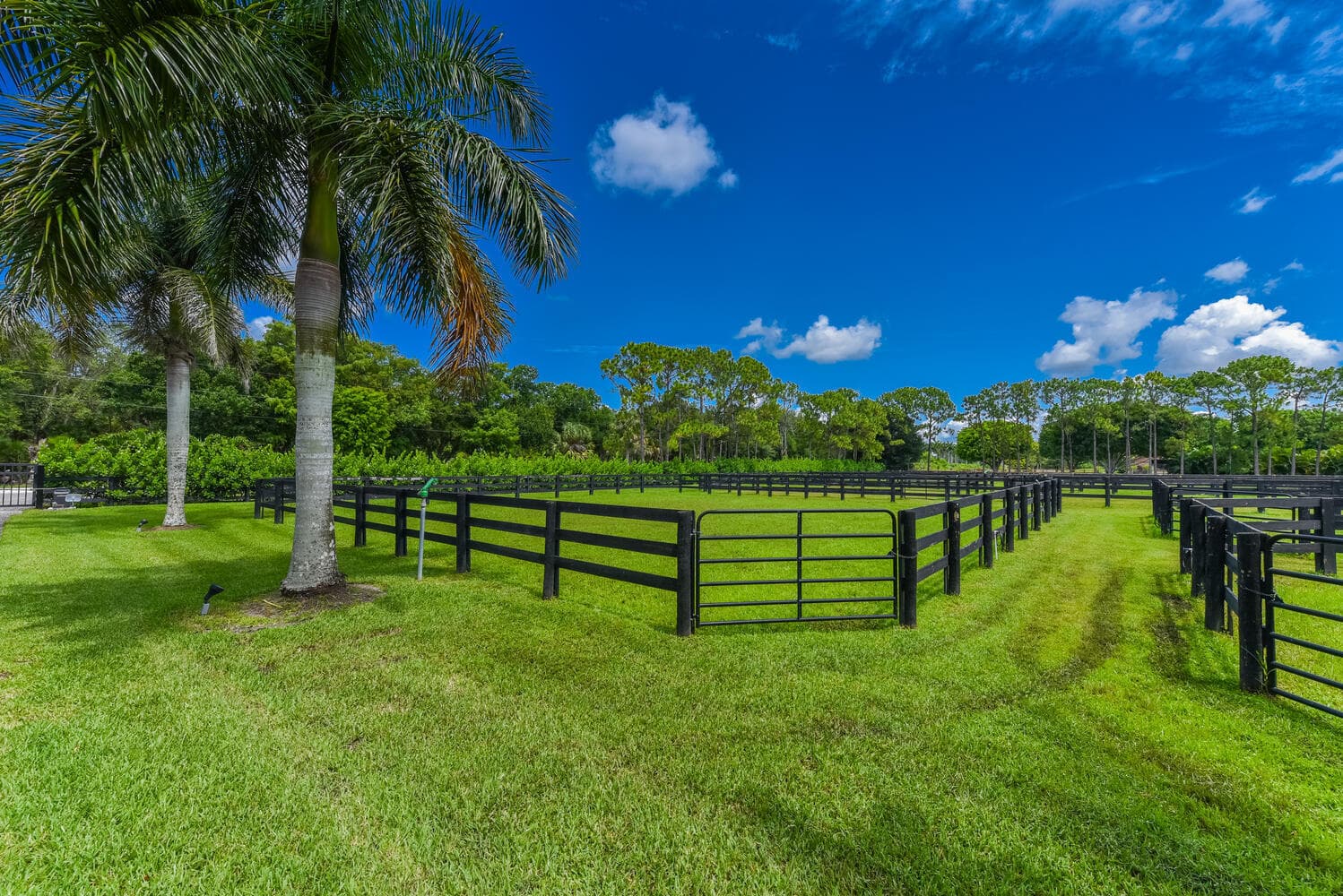 2780 Skipiks Way, Wellington, FL 33470 — photo 25 of 42