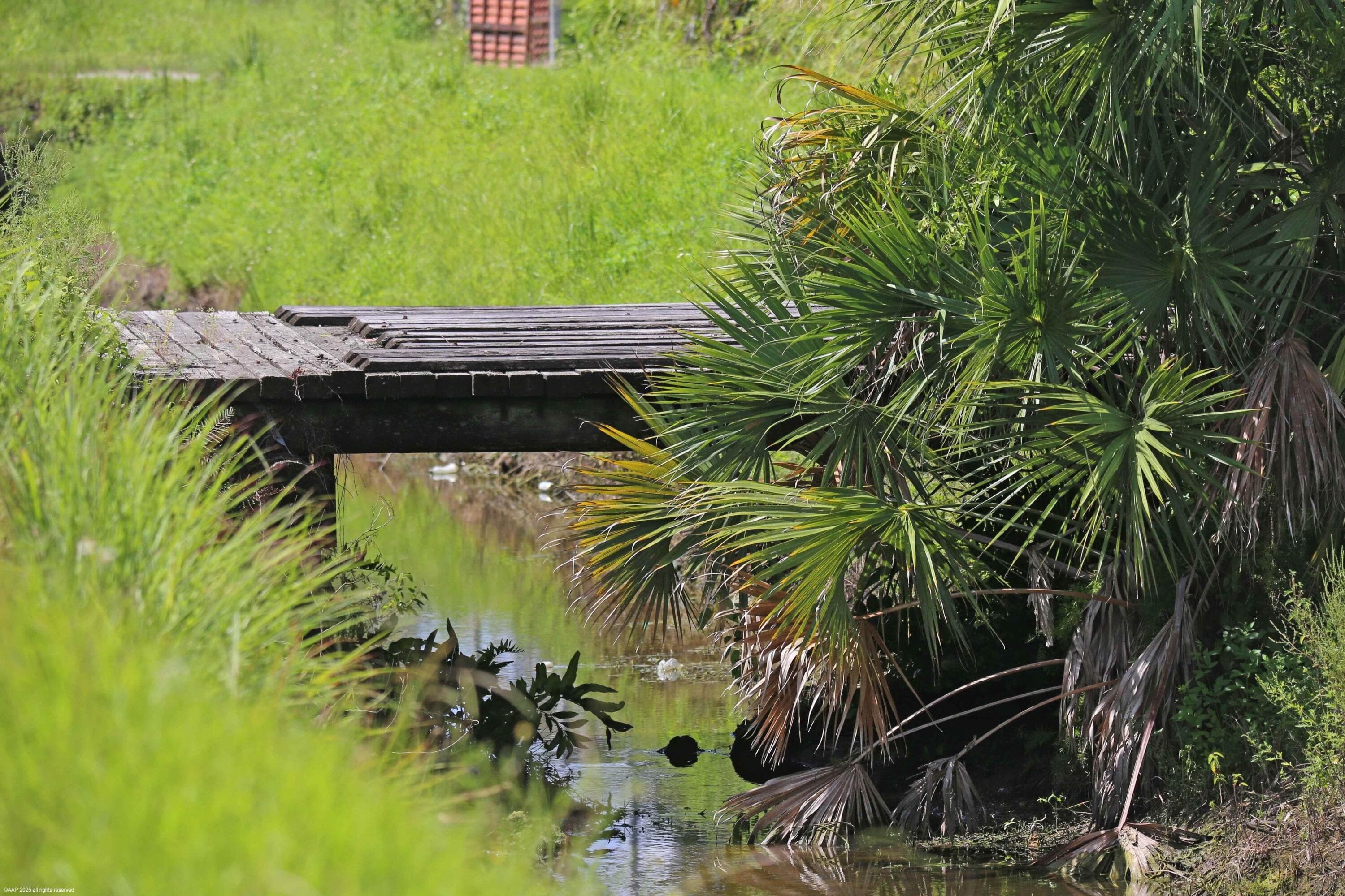 2761 E Road, Loxahatchee Groves, FL 33470 — photo 14 of 21
