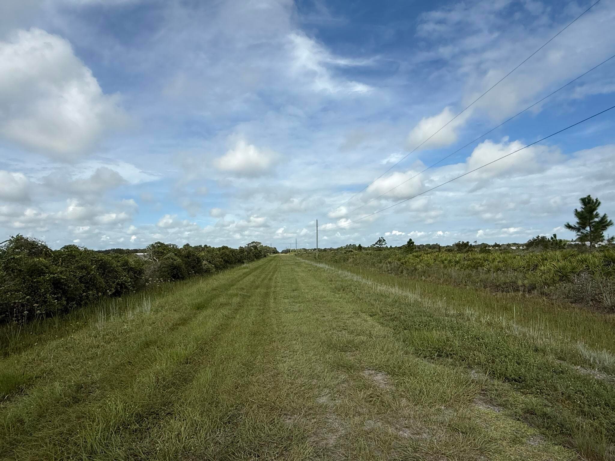 18619 NW 248th Street, Okeechobee, FL 34972 — photo 3 of 11