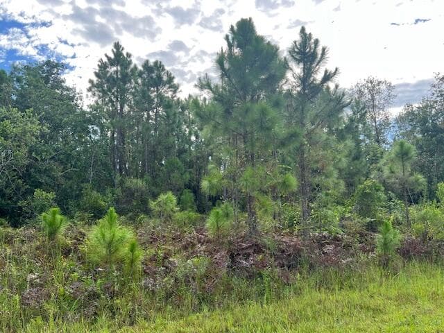 1131 Greenfield Street, Lake Placid, FL 33852 — photo 1 of 13