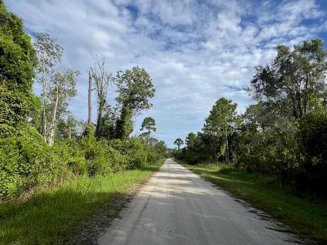 1131 Greenfield Street, Lake Placid, FL 33852 — photo 4 of 13