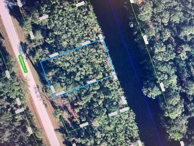 1131 Greenfield Street, Lake Placid, FL 33852 — photo 10 of 13
