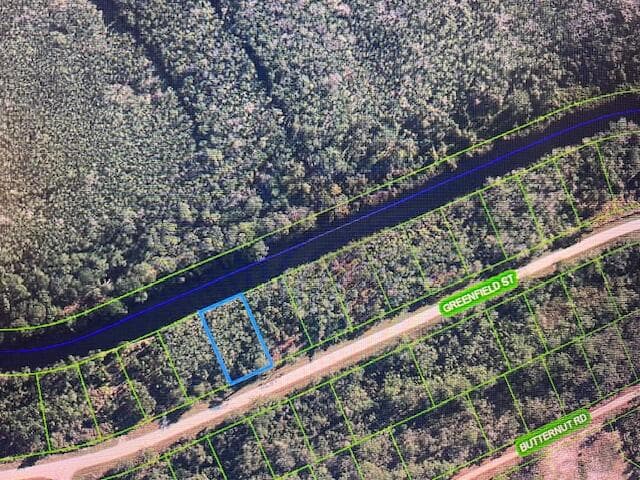 1131 Greenfield Street, Lake Placid, FL 33852 — photo 11 of 13