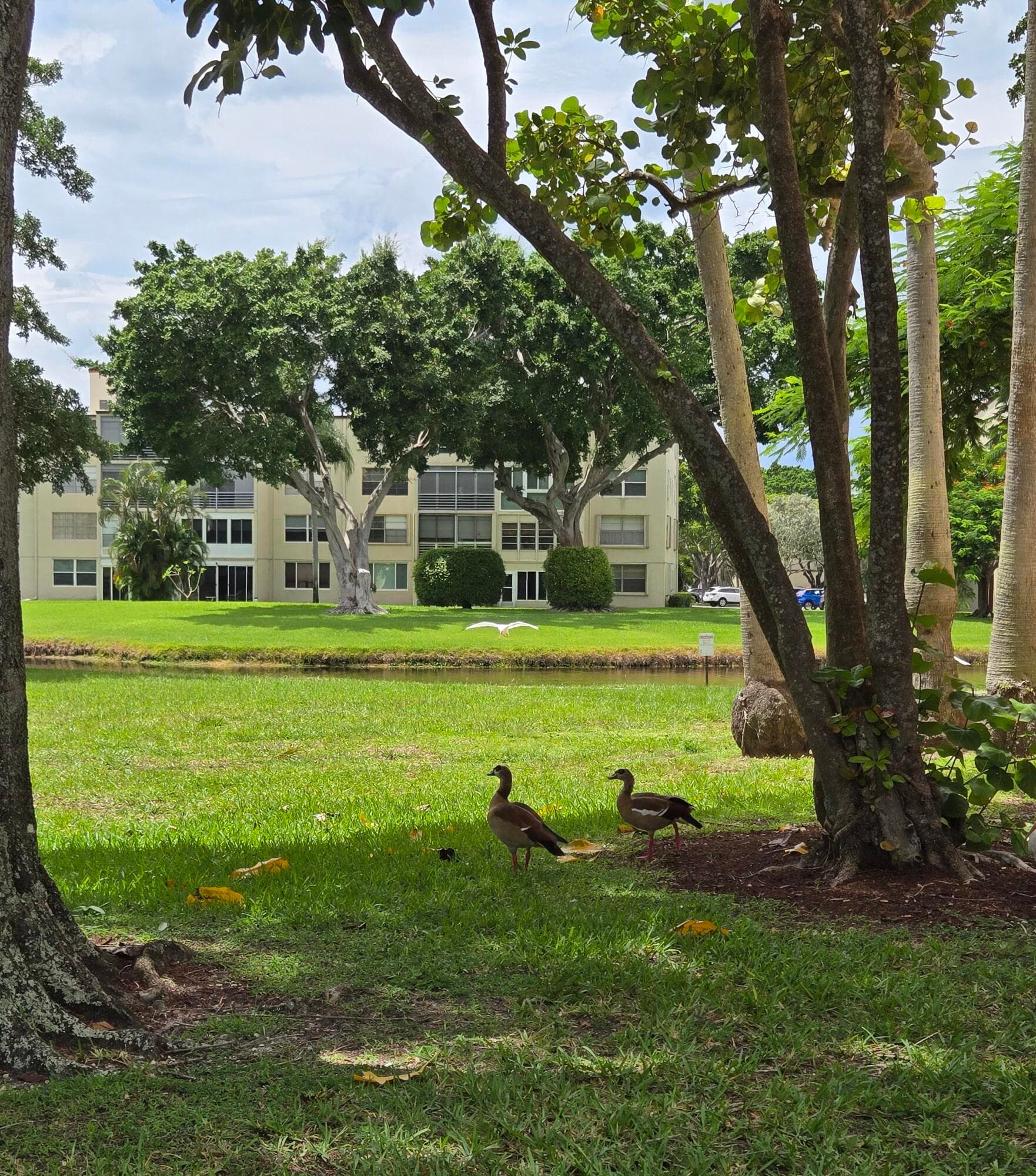 14623 Bonaire Boulevard 604, Delray Beach, FL 33446 — photo 15 of 34