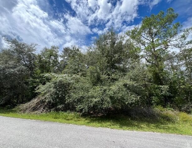6252 N Cavalier Terrace, Citrus Springs, FL 34433 — photo