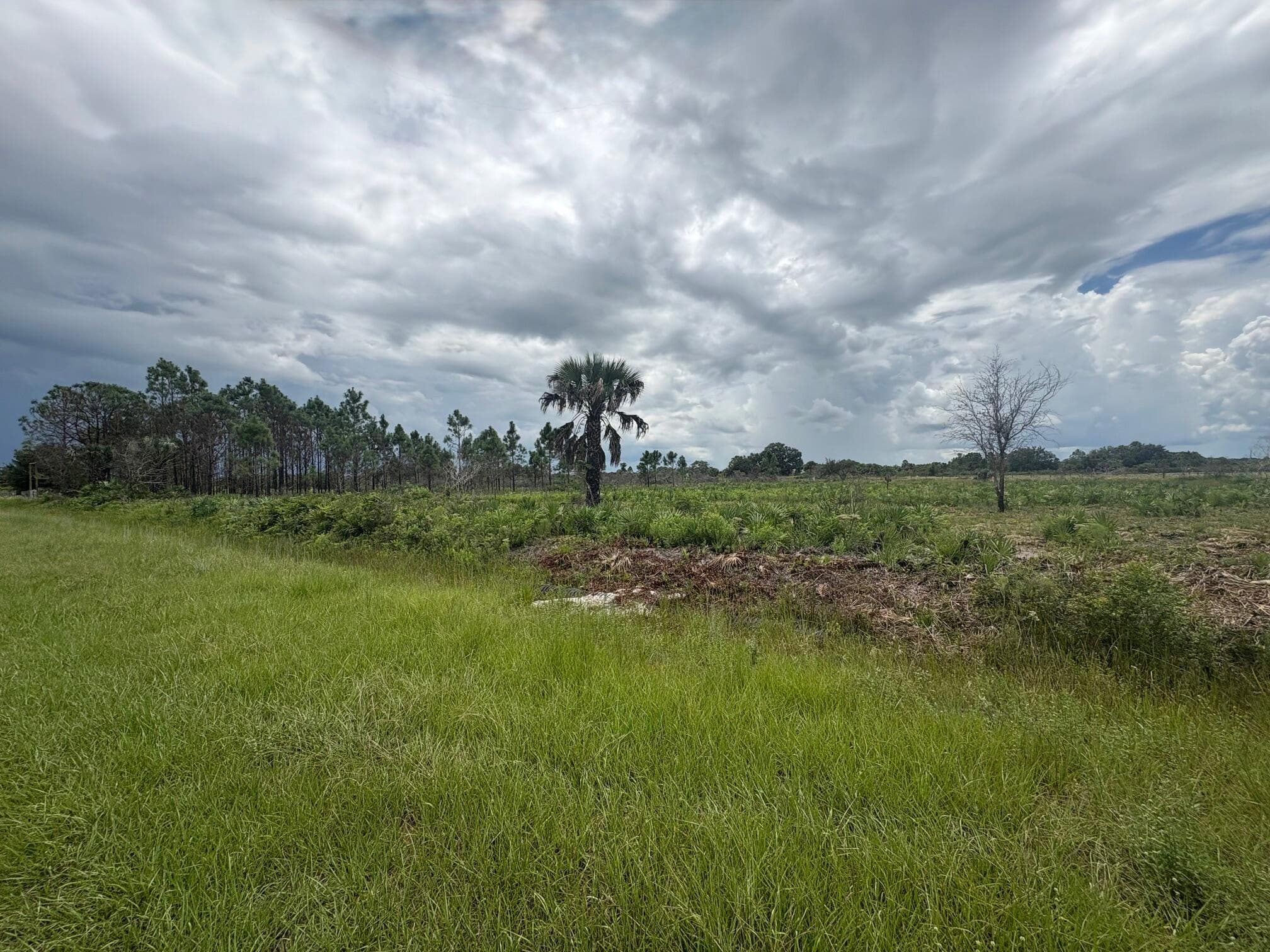 17982 NW 318th Street, Okeechobee, FL 34972 — photo 2 of 8