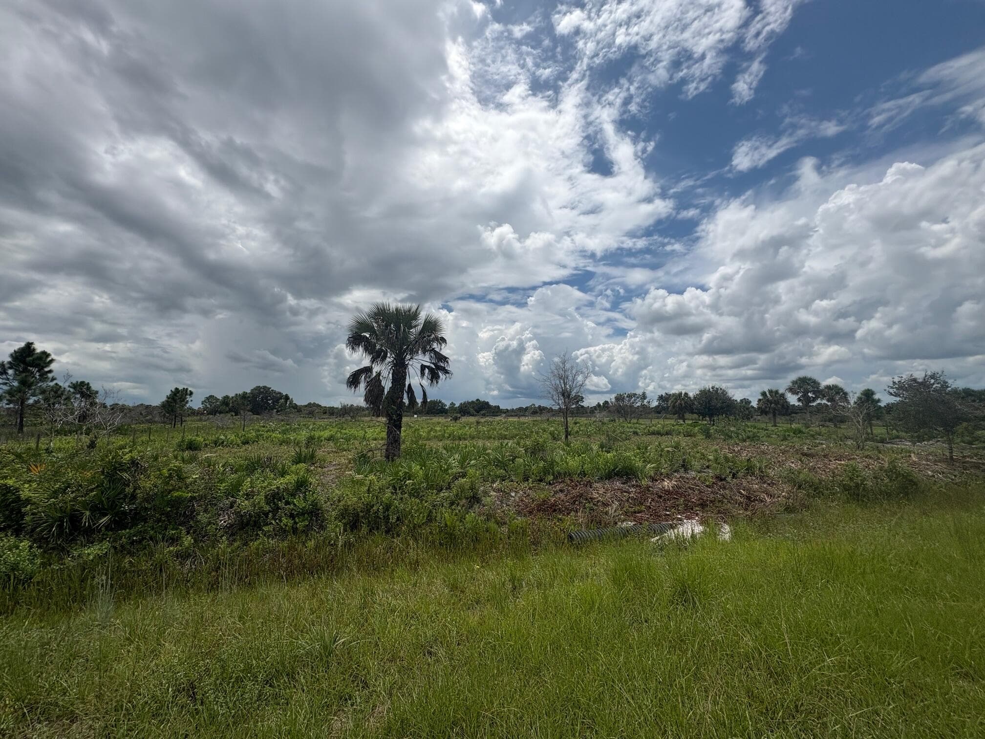 17982 NW 318th Street, Okeechobee, FL 34972 — photo 5 of 8