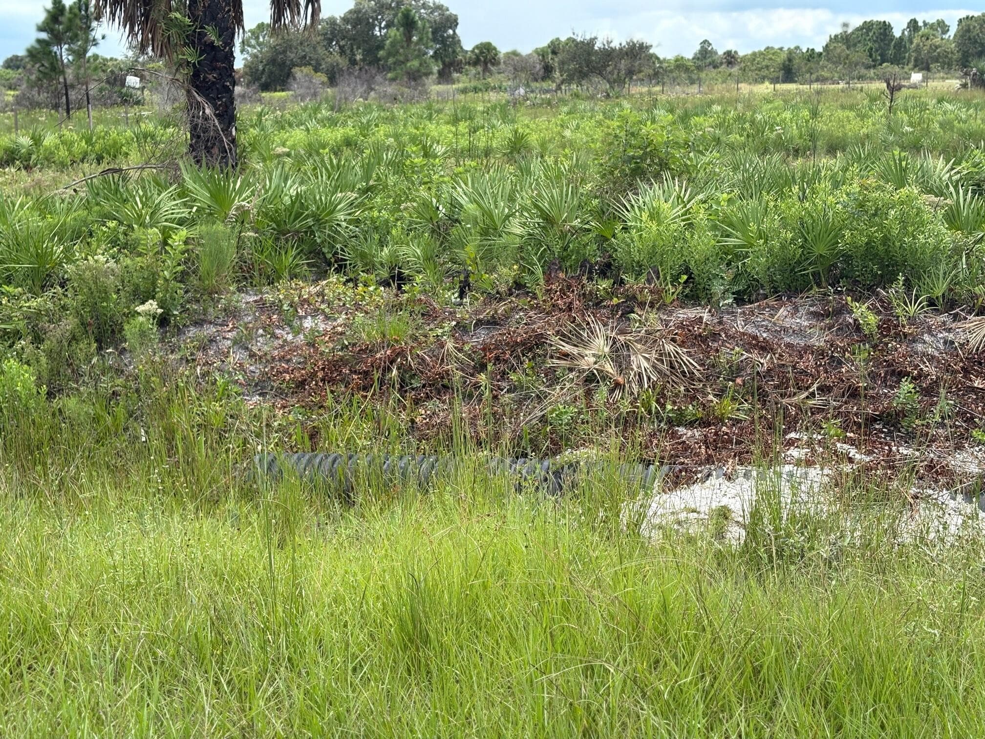 17982 NW 318th Street, Okeechobee, FL 34972 — photo 7 of 8