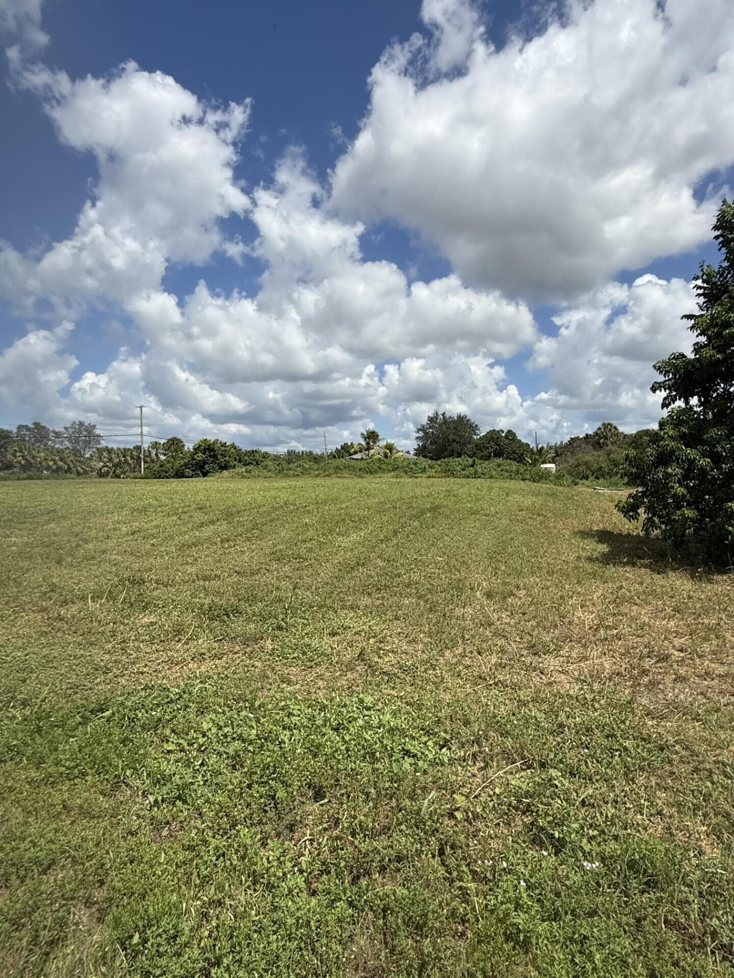 0 0 Mandarin Boulevard, The Acreage, FL 33470 — photo 2 of 4
