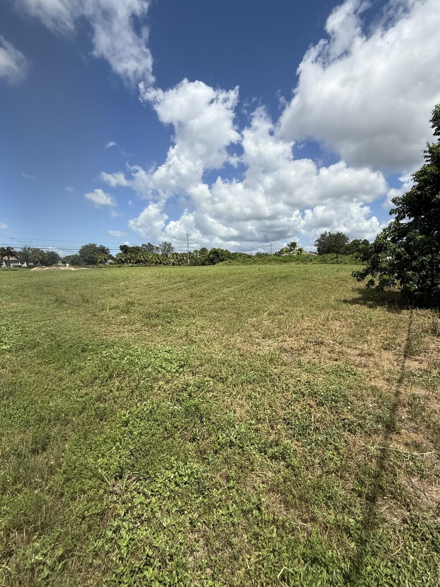 0 0 Mandarin Boulevard, The Acreage, FL 33470 — photo 4 of 4