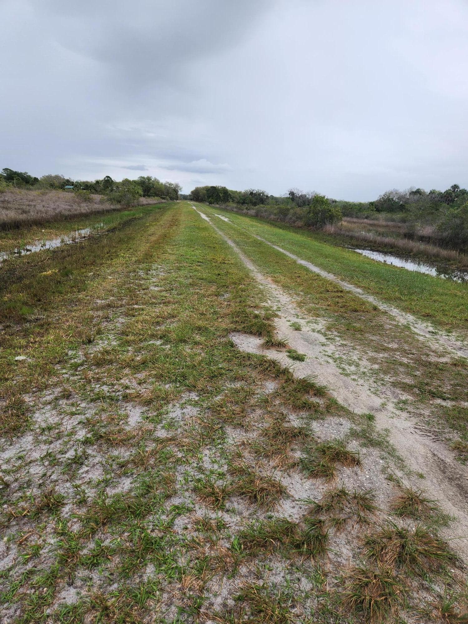 15679 NW 296th Street, Okeechobee, FL 34972 — photo 2 of 15