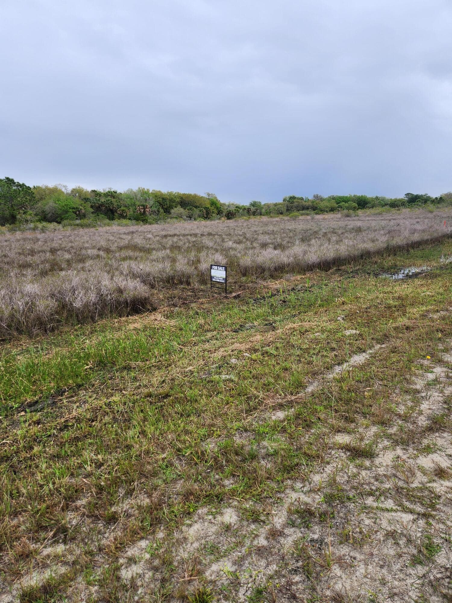15679 NW 296th Street, Okeechobee, FL 34972 — photo 6 of 15