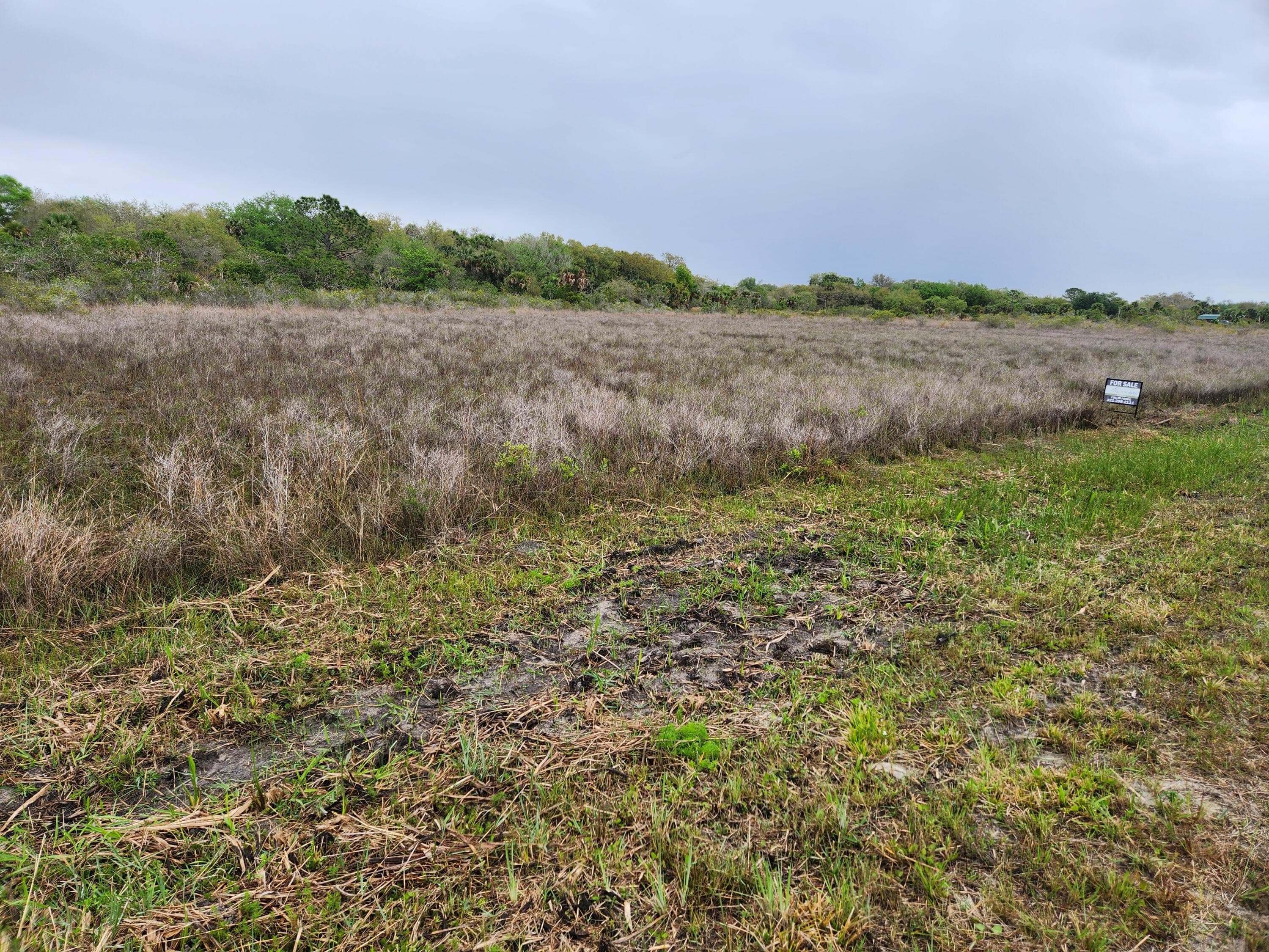 15679 NW 296th Street, Okeechobee, FL 34972 — photo 10 of 15