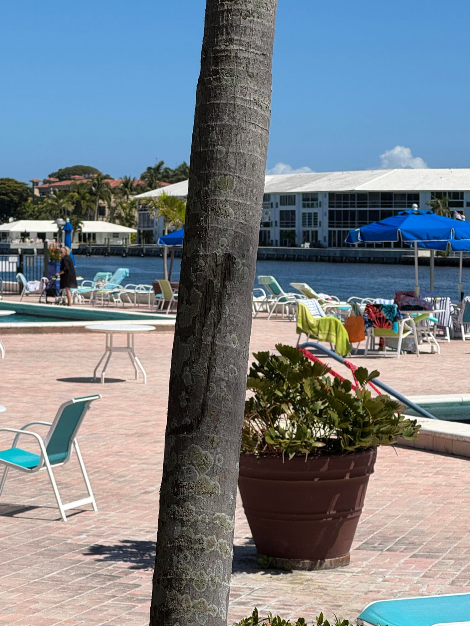 2010 S Federal Highway I 405, Boynton Beach, FL 33435 — photo 4 of 30