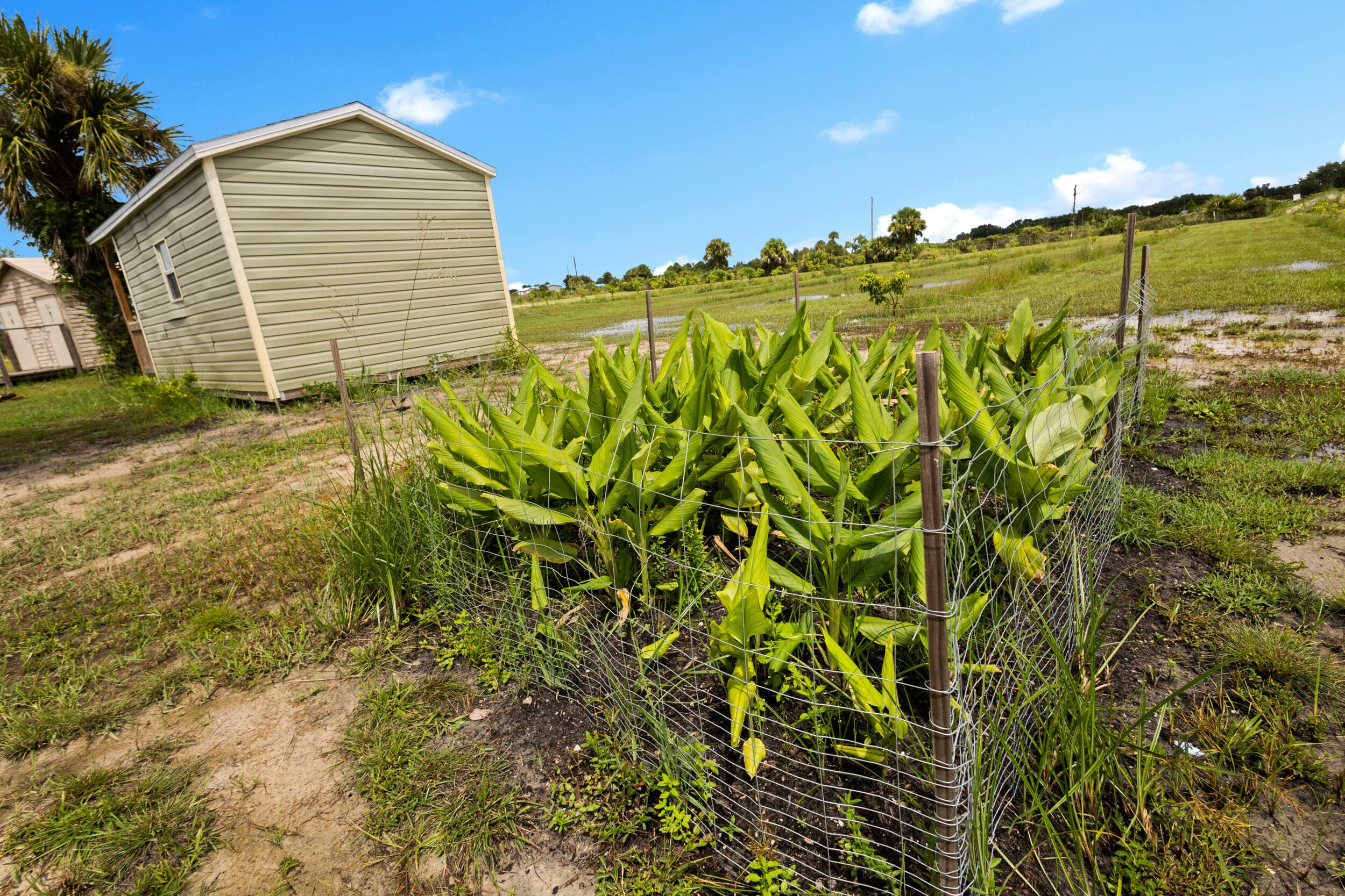 20914 NW 280th Street, Okeechobee, FL 34972 — photo 8 of 47