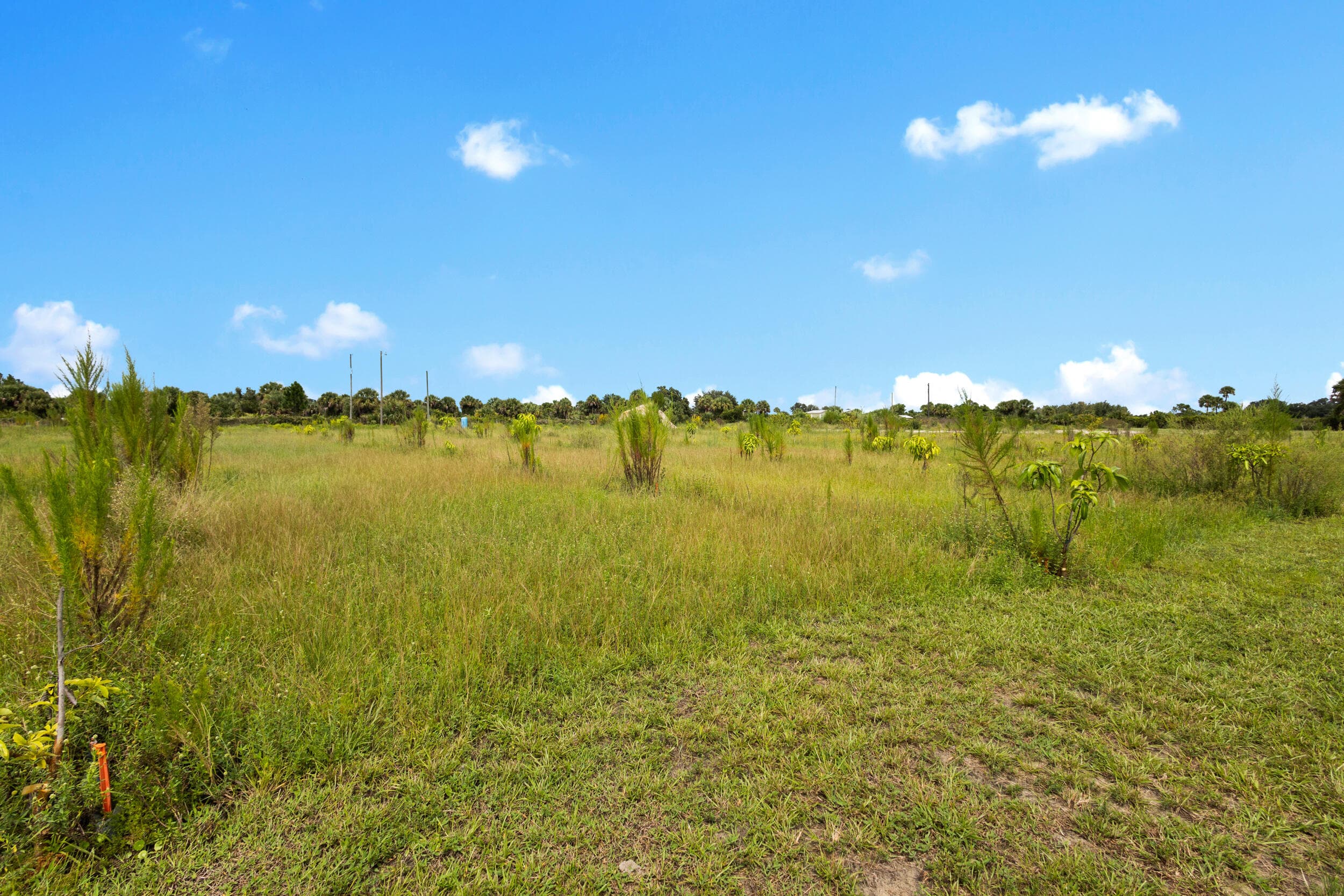 20914 NW 280th Street, Okeechobee, FL 34972 — photo 11 of 47