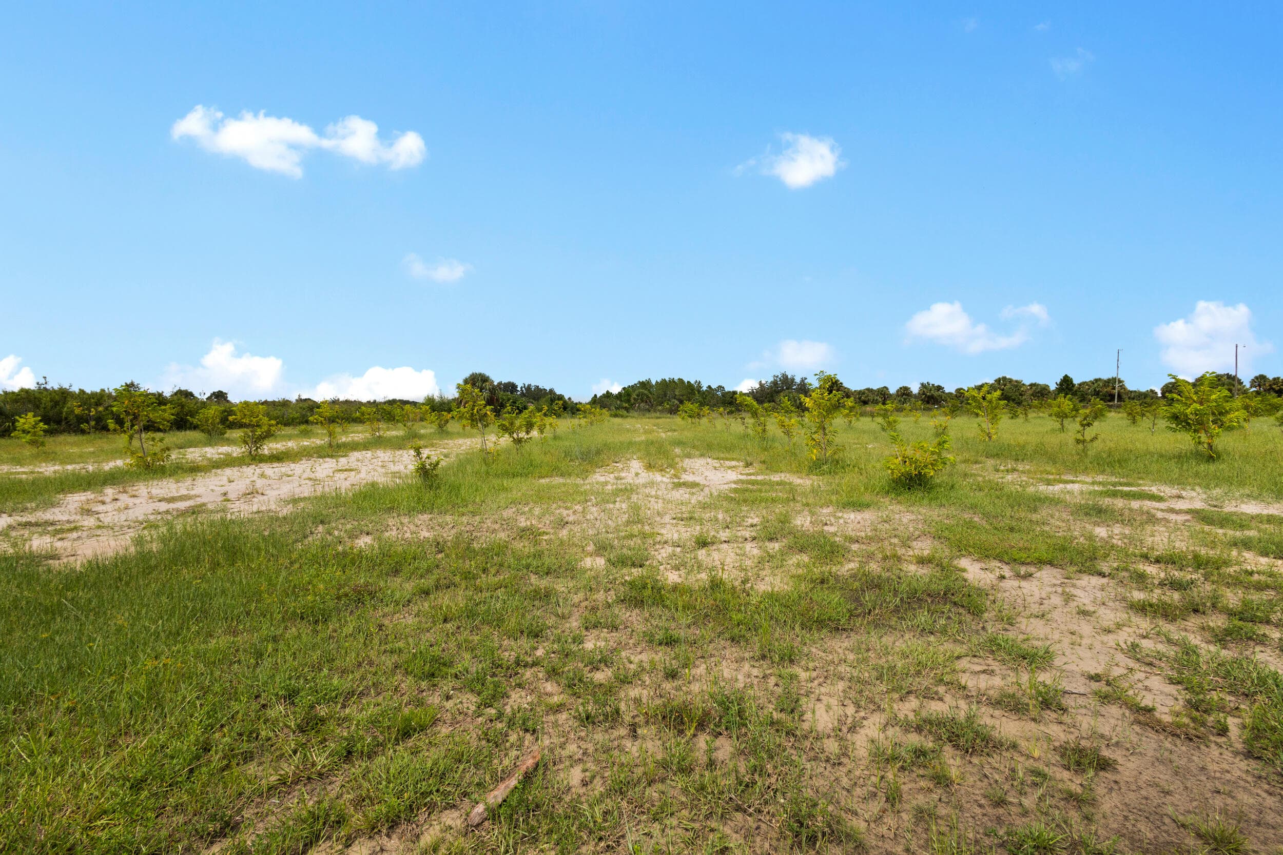 20914 NW 280th Street, Okeechobee, FL 34972 — photo 15 of 47